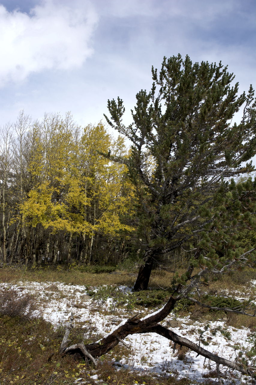 dsc_6232.jpg
