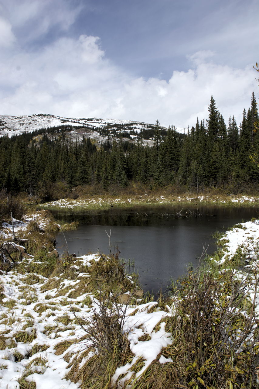 dsc_6234.jpg