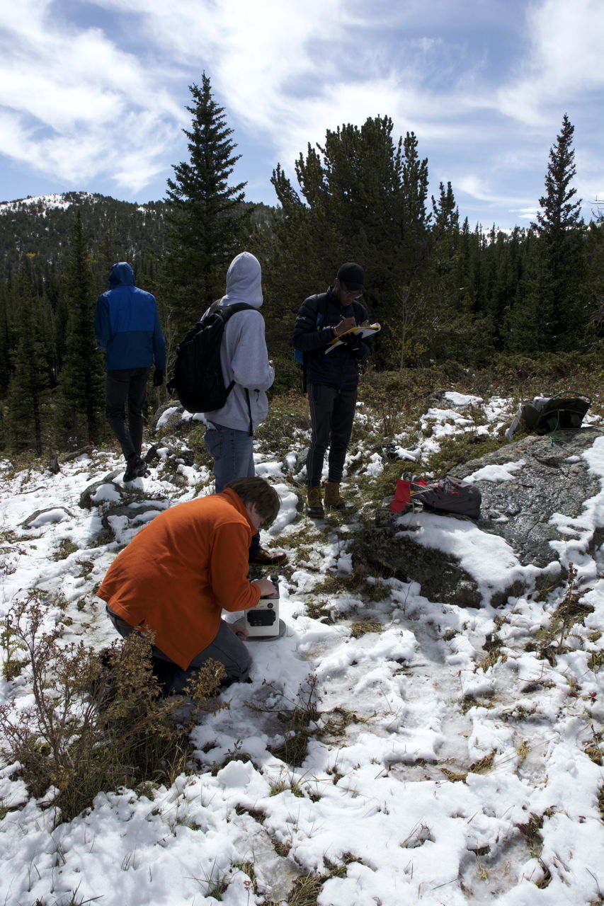 dsc_6237.jpg