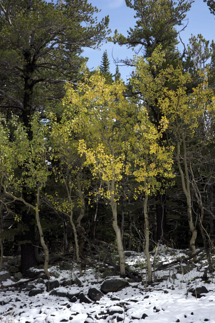 dsc_6244.jpg
