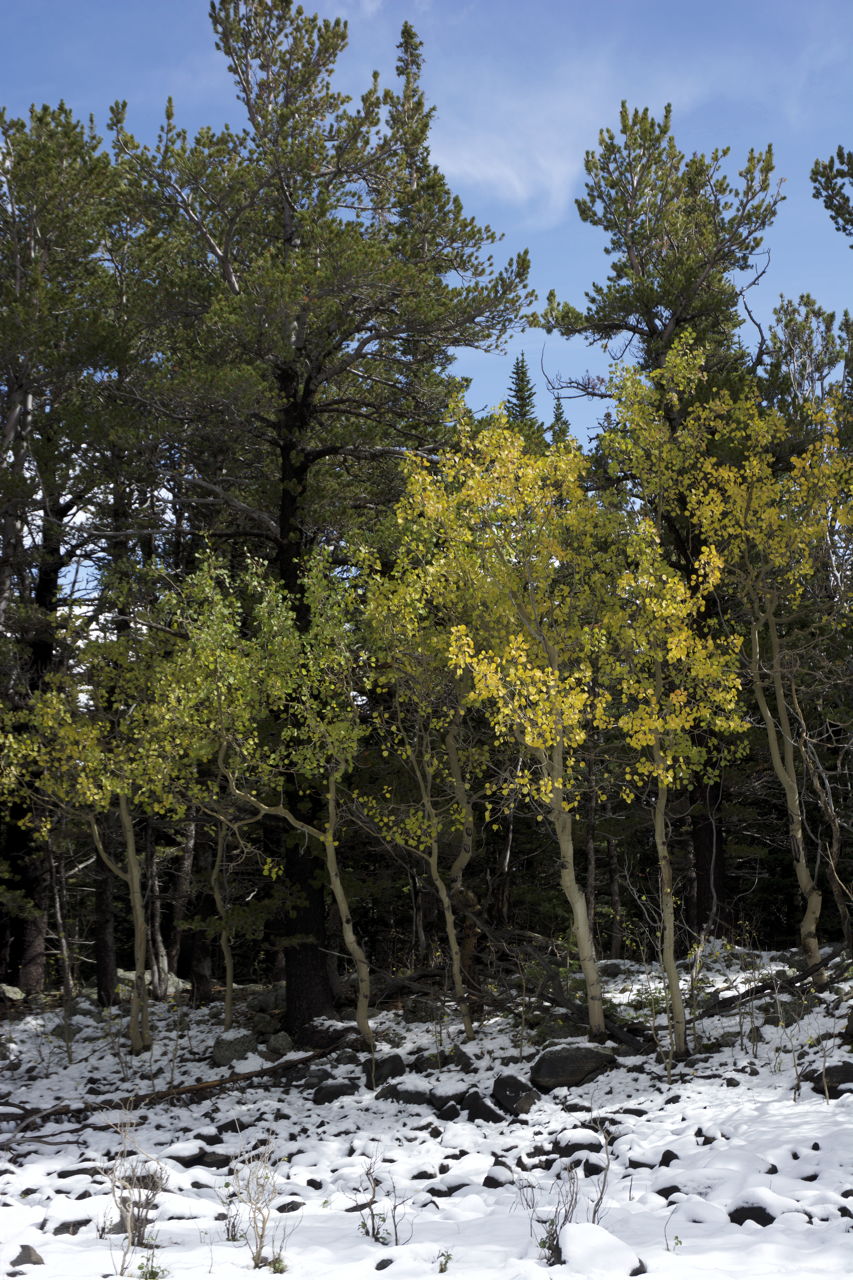 dsc_6245.jpg