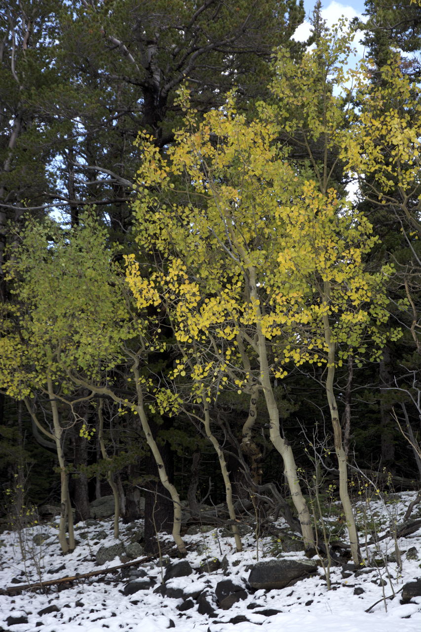 dsc_6246.jpg