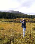Seimic source-Caribou