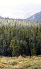 magnetics, Caribou Flat