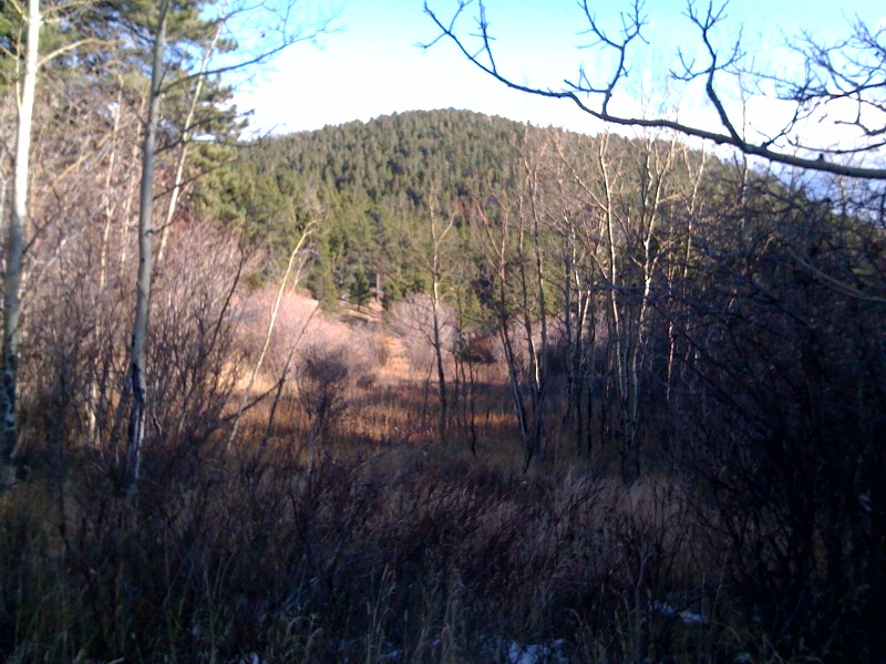 Lower meadow below road